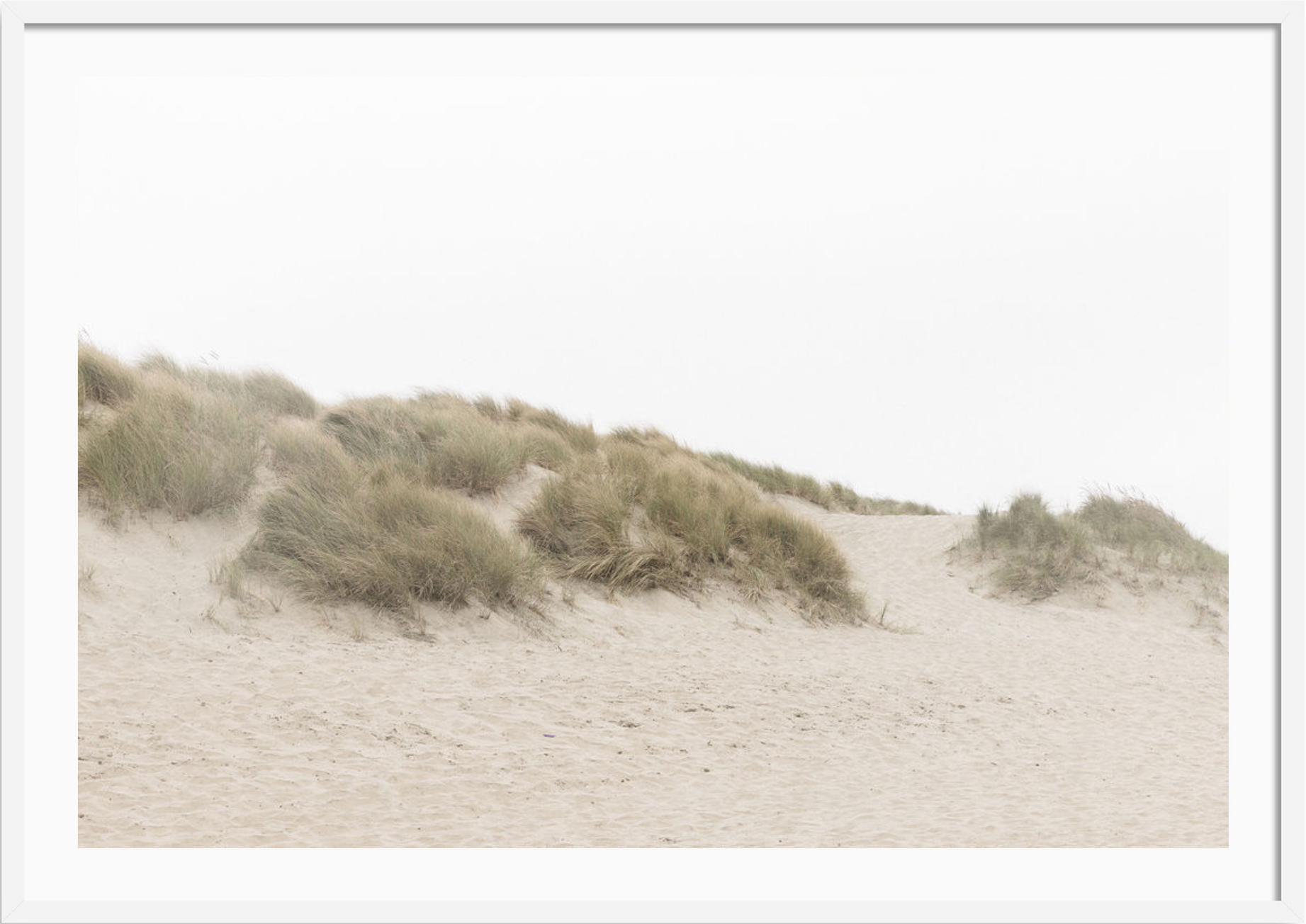 Ocean Beach Dunes