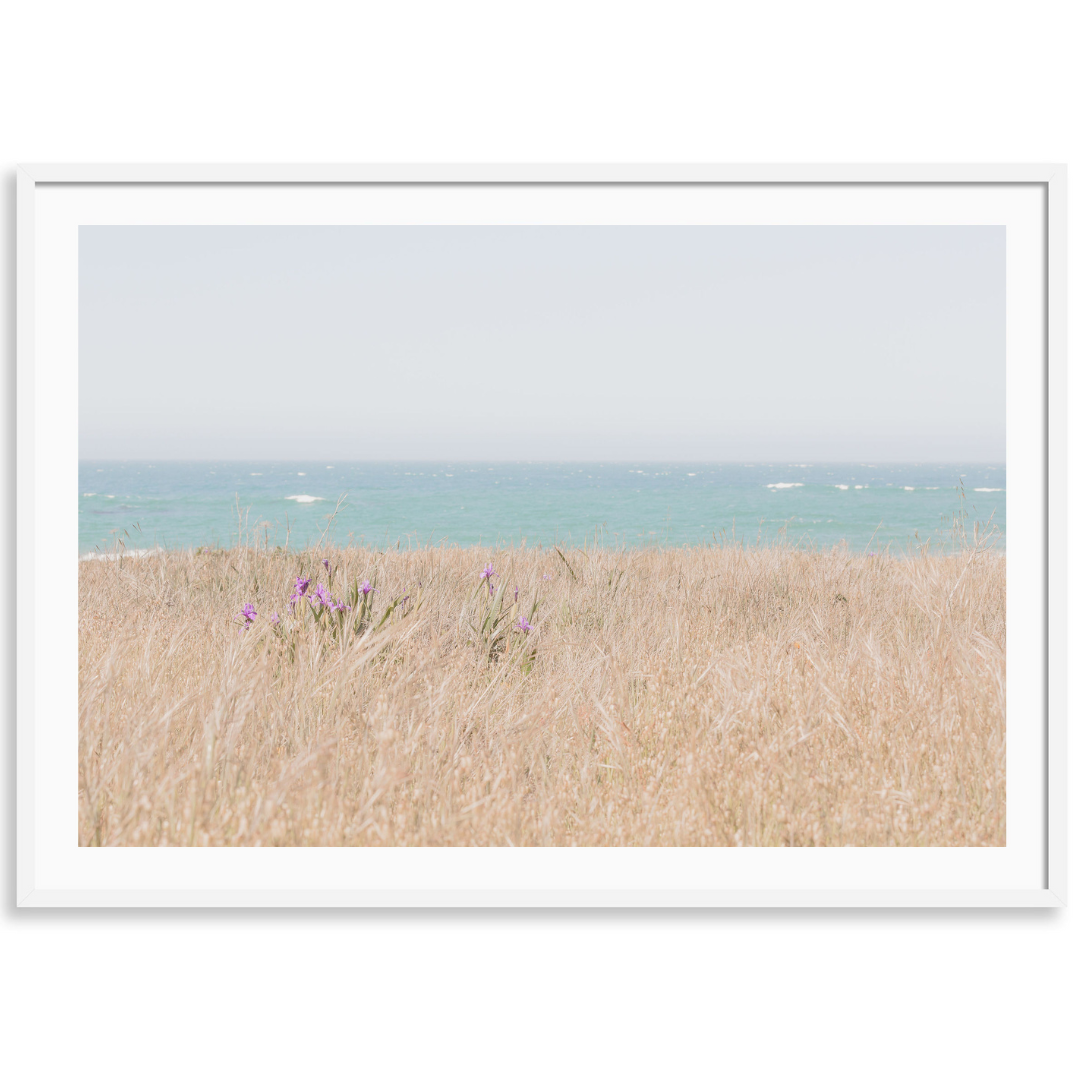 Spring In Sea Ranch