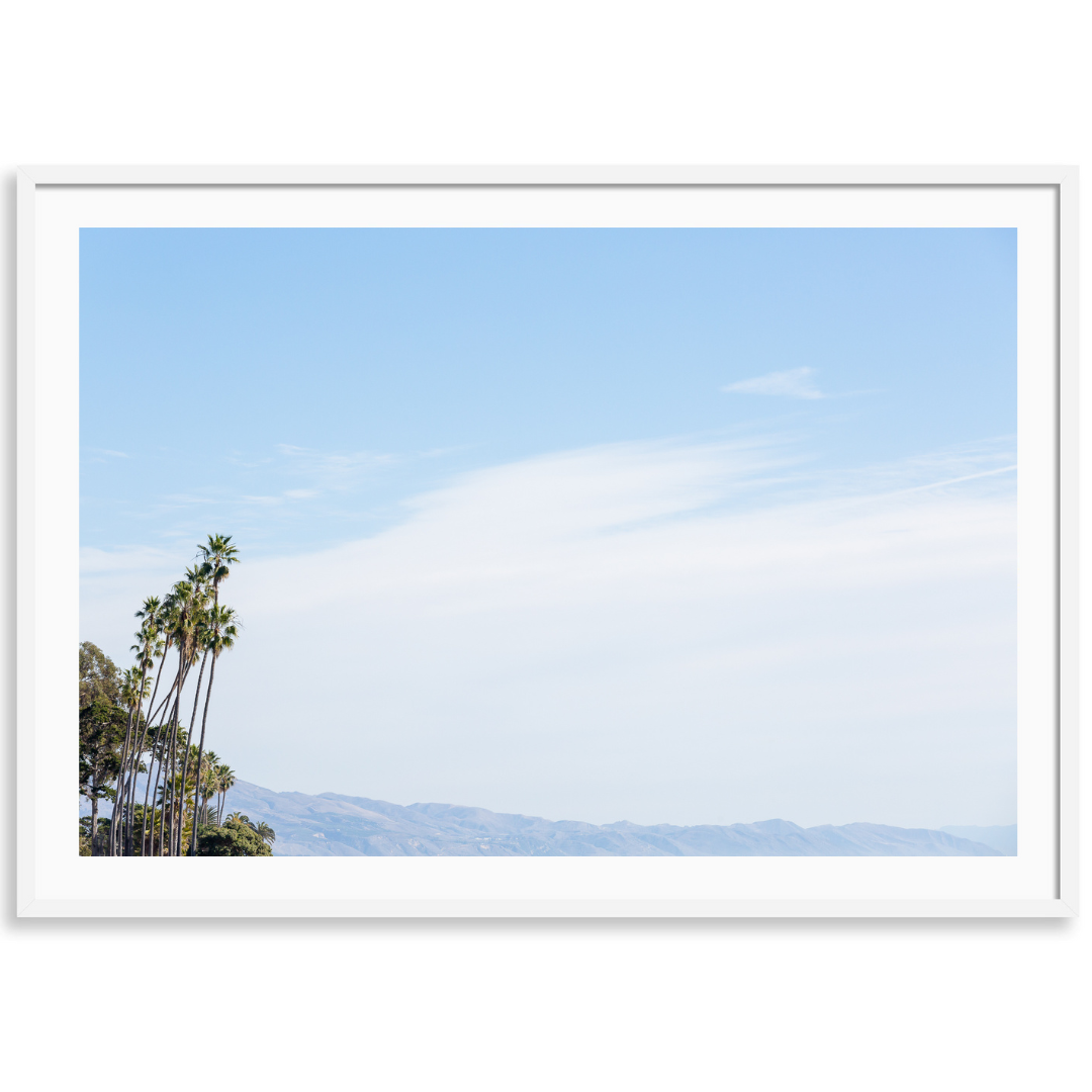 Montecito Palms