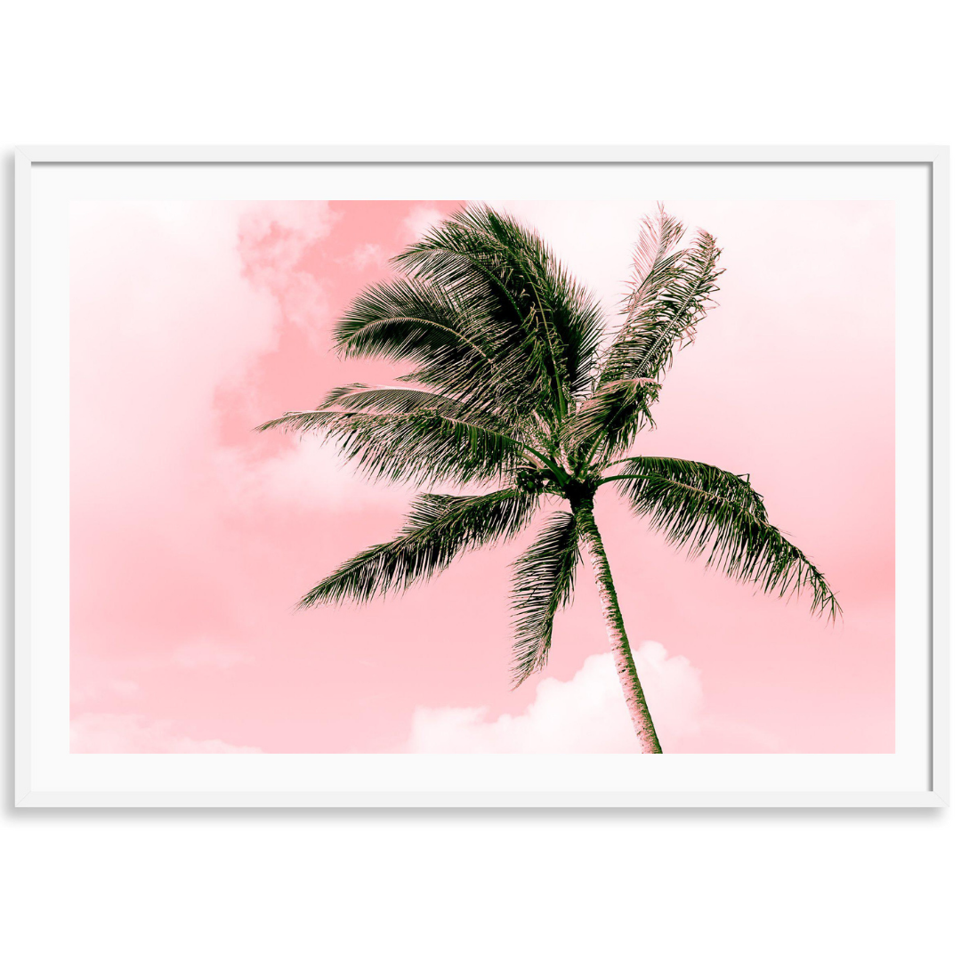 Electric Pink Palm