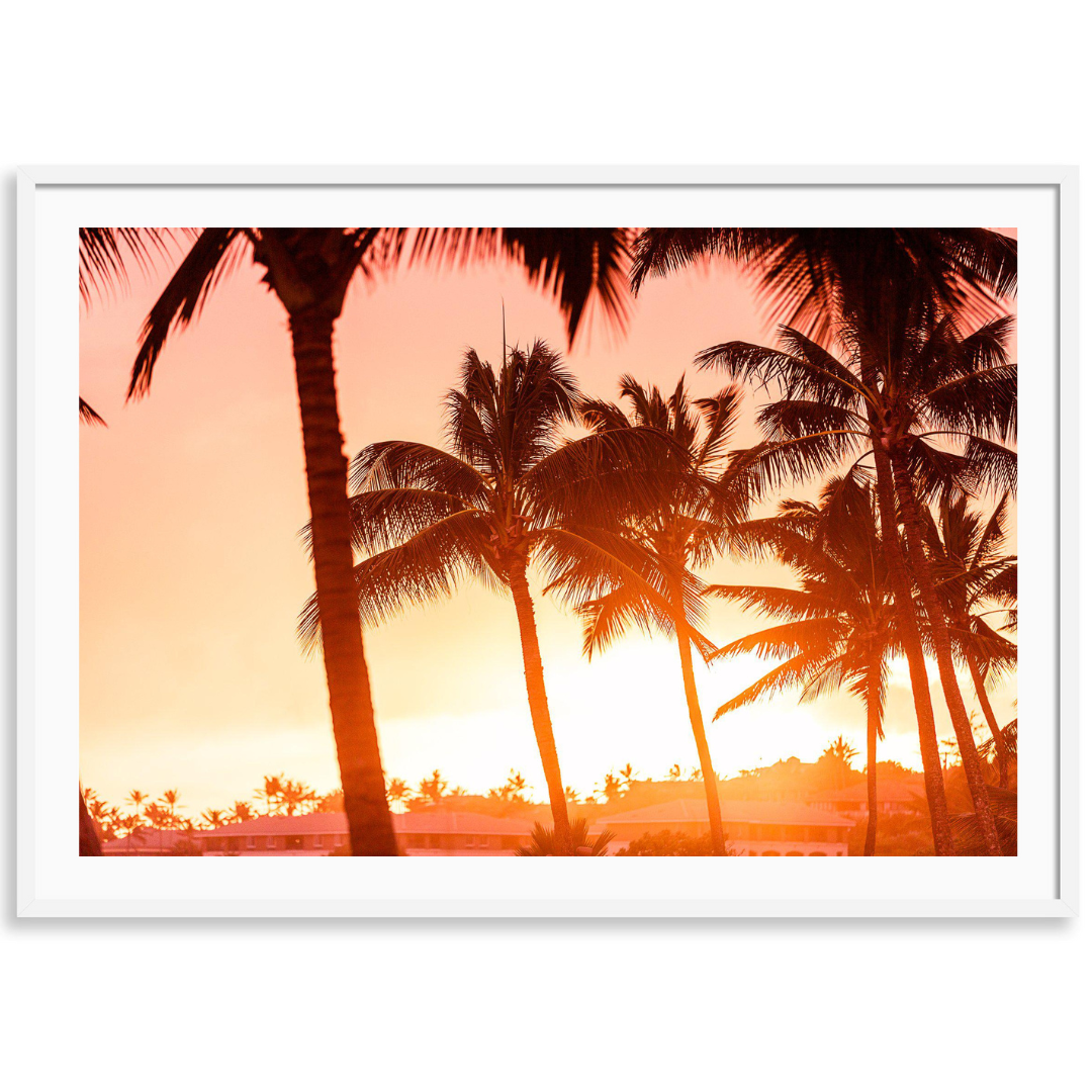 Sun Kissed Palms