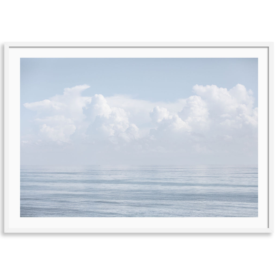 Palm Beach Delight