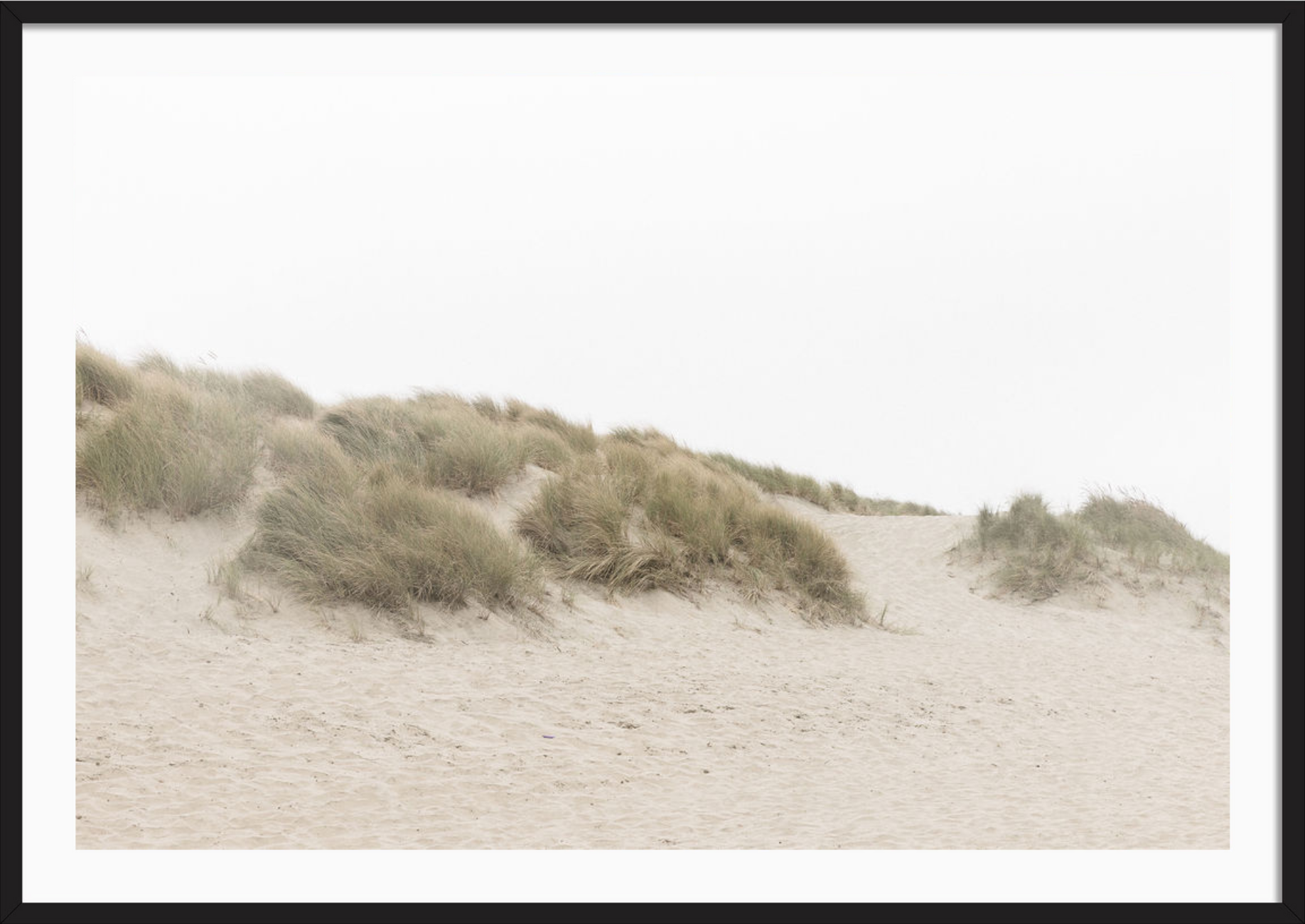 Ocean Beach Dunes