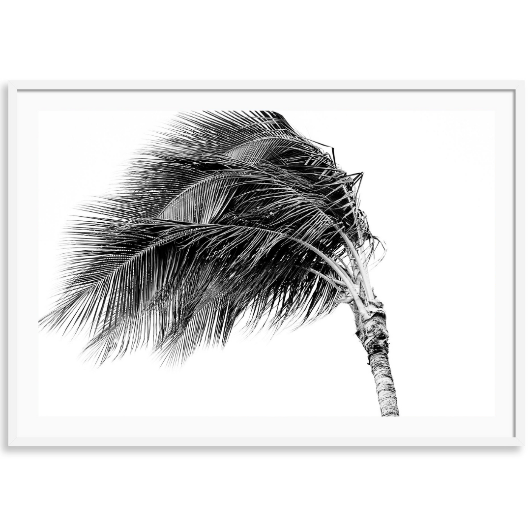 Dancing in the Wind