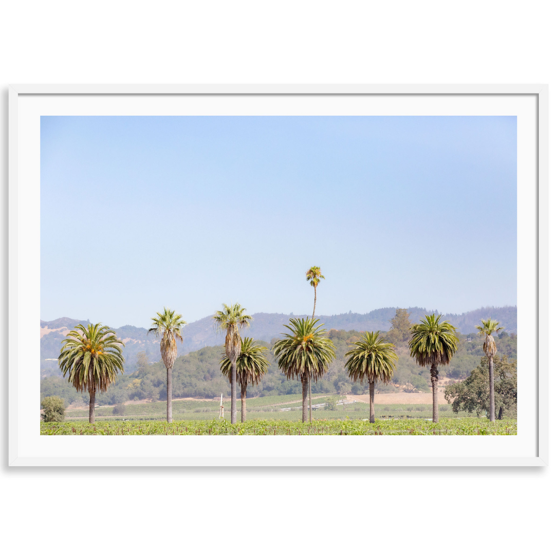 Napa Palms