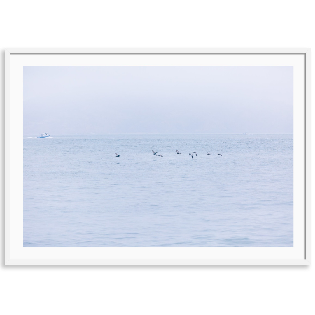 San Francisco Bay
