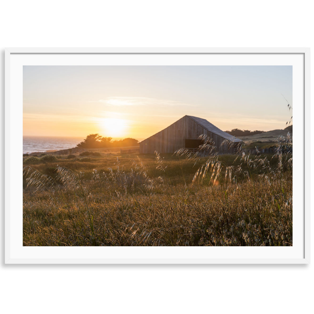 Sea Ranch Sunset 1