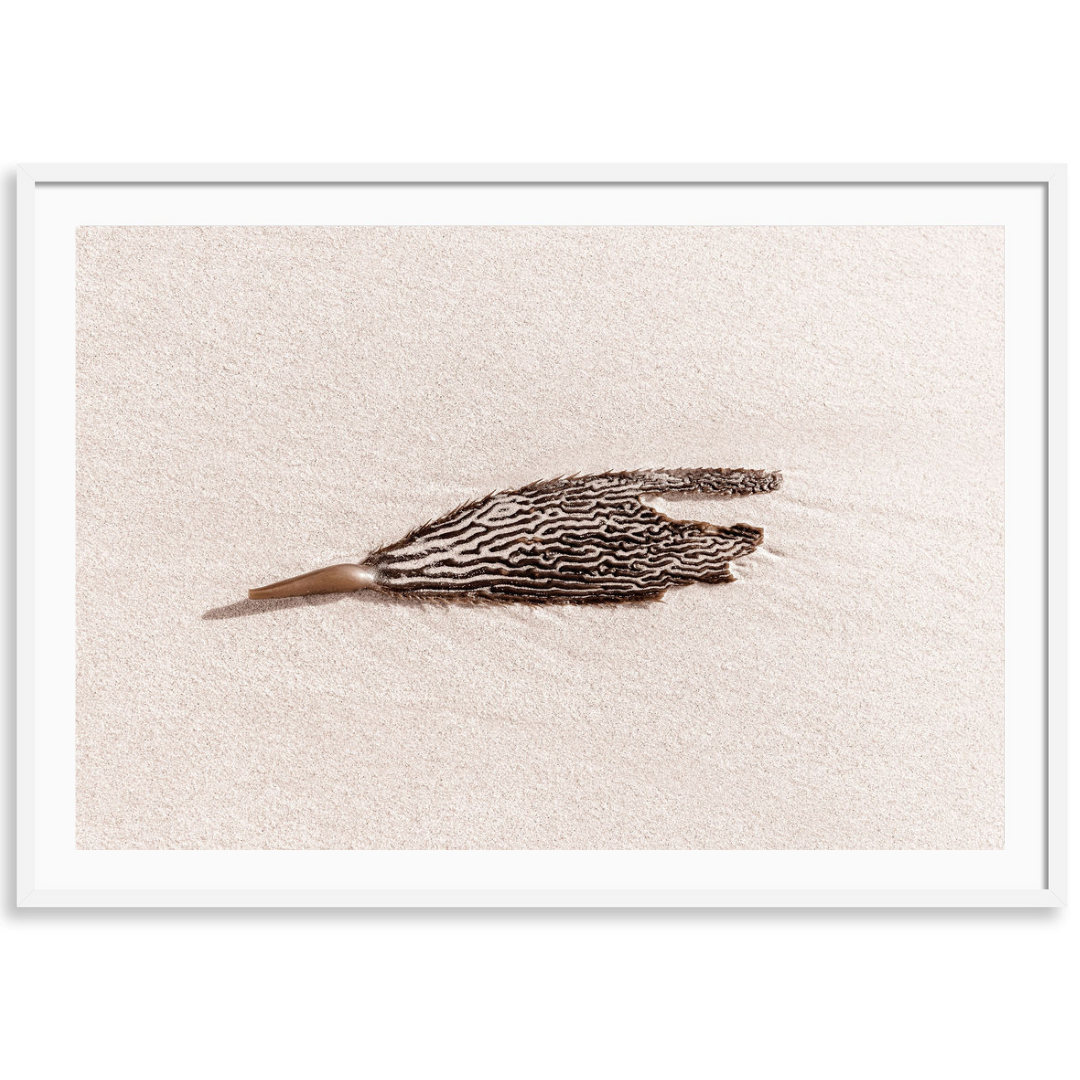 Washed Ashore 2
