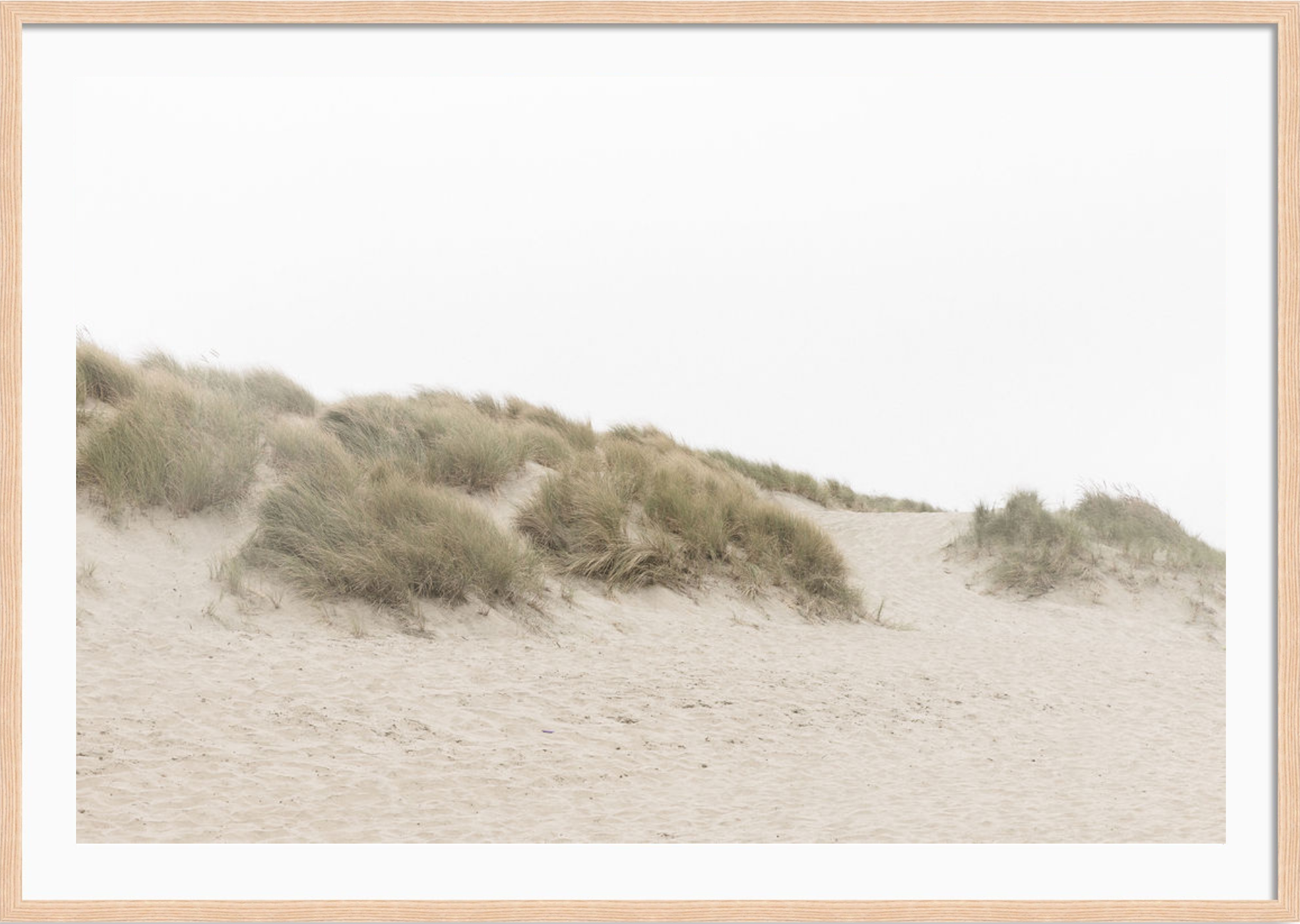 Ocean Beach Dunes