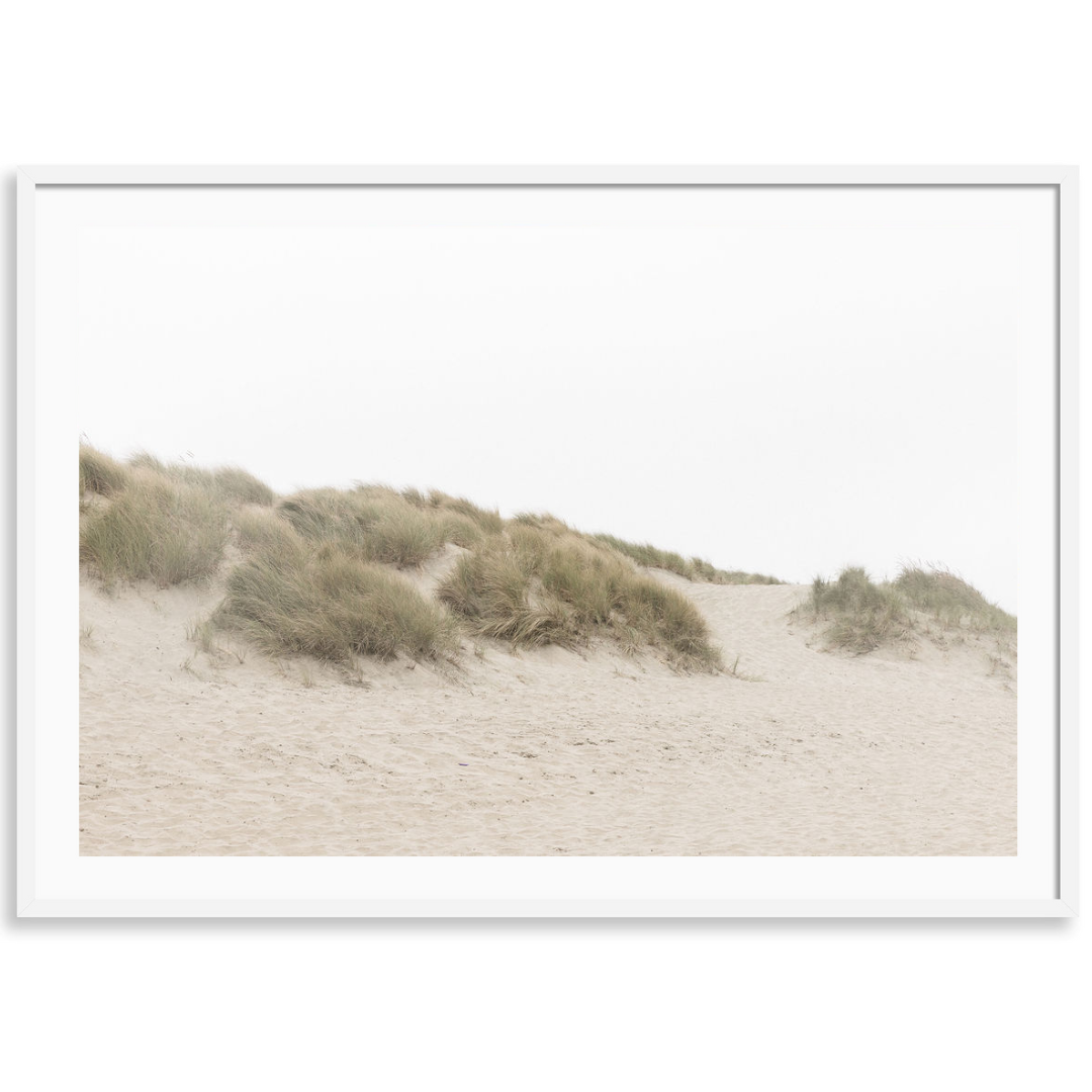 Ocean Beach Dunes
