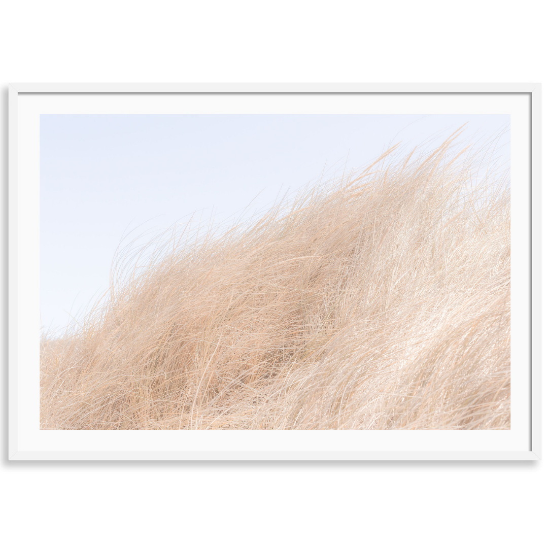 Golden in the Wind