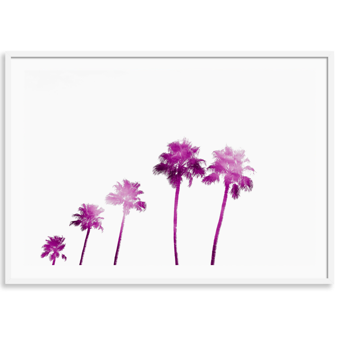Pink Palms