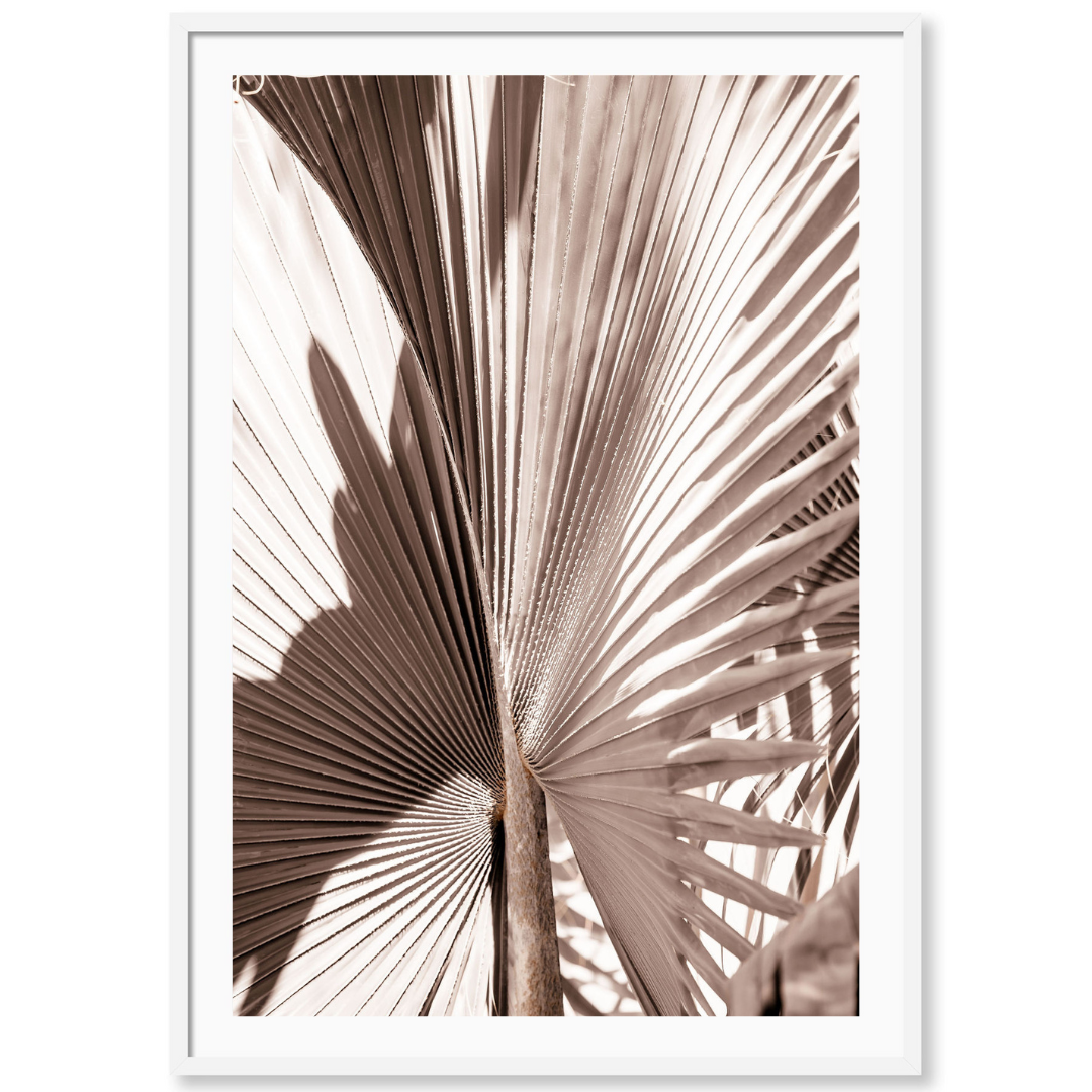 Golden Palm 1