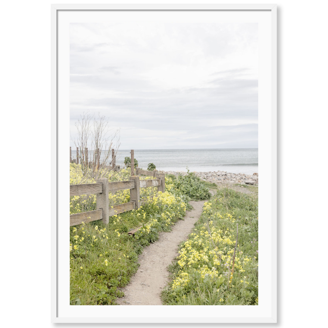 Spring Blooms