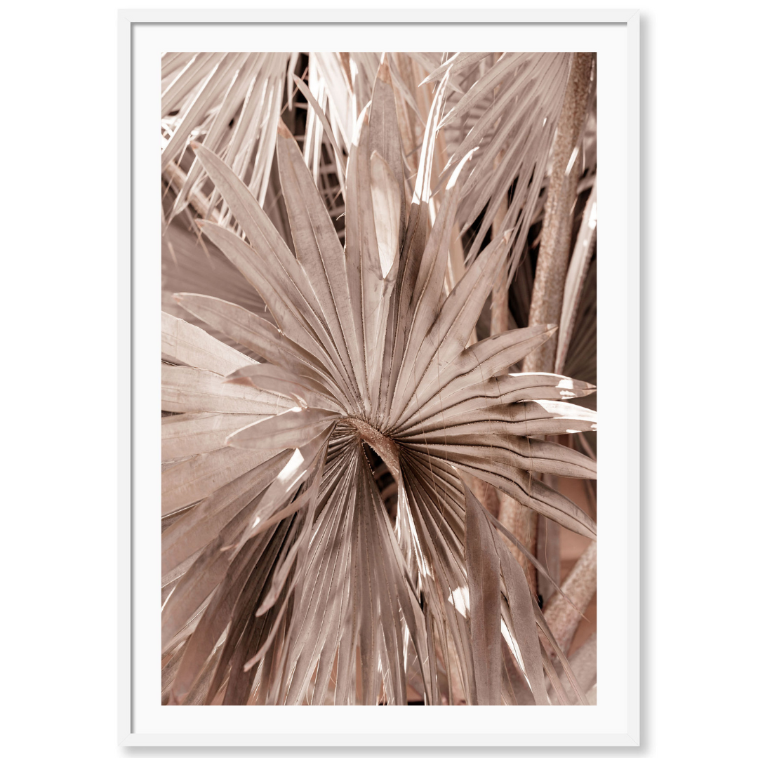 Golden Palm 2