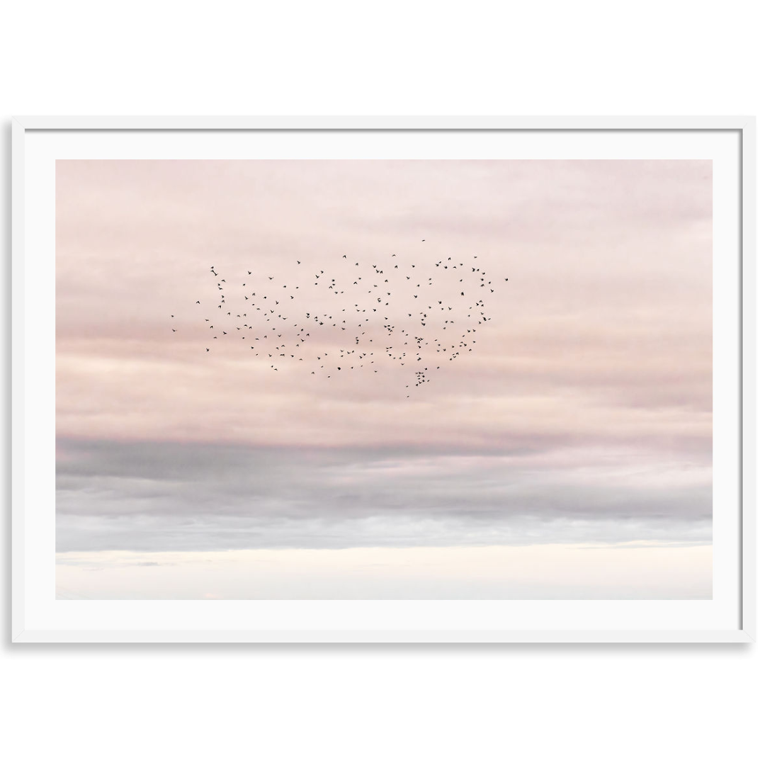 Sky in Motion