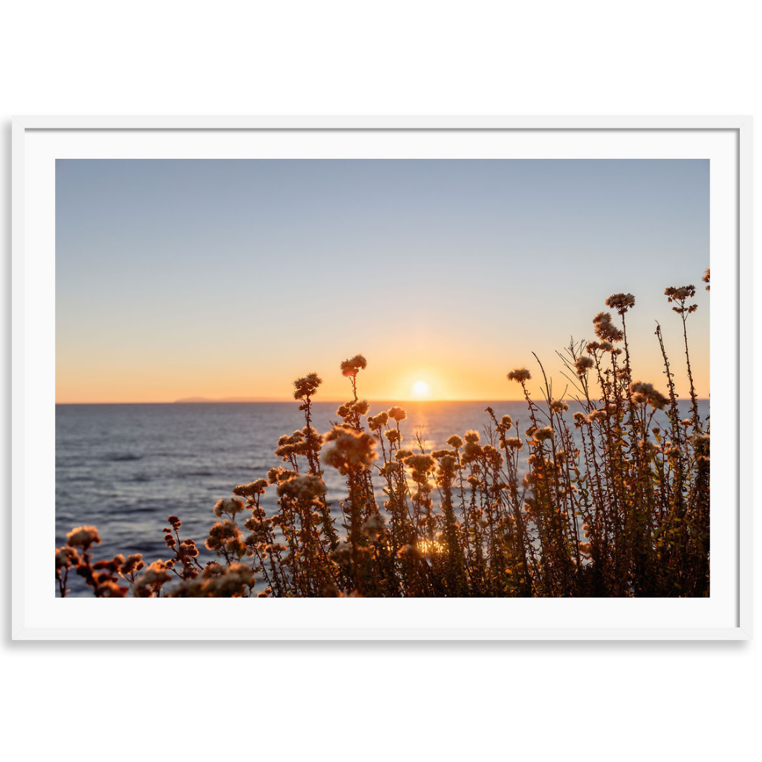 Amber Horizon
