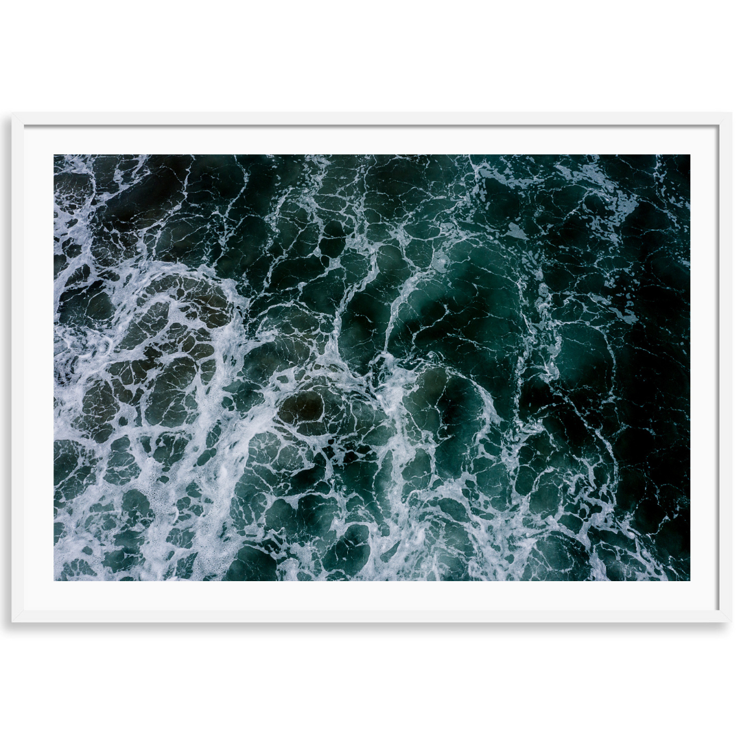 Ocean's Web