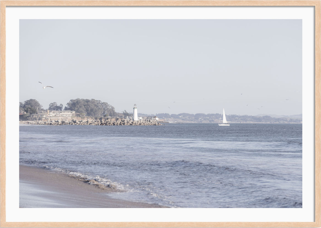 Santa Cruz Coastline
