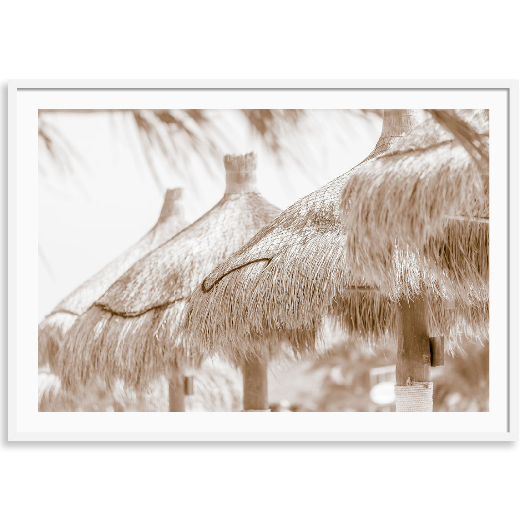 Palapas