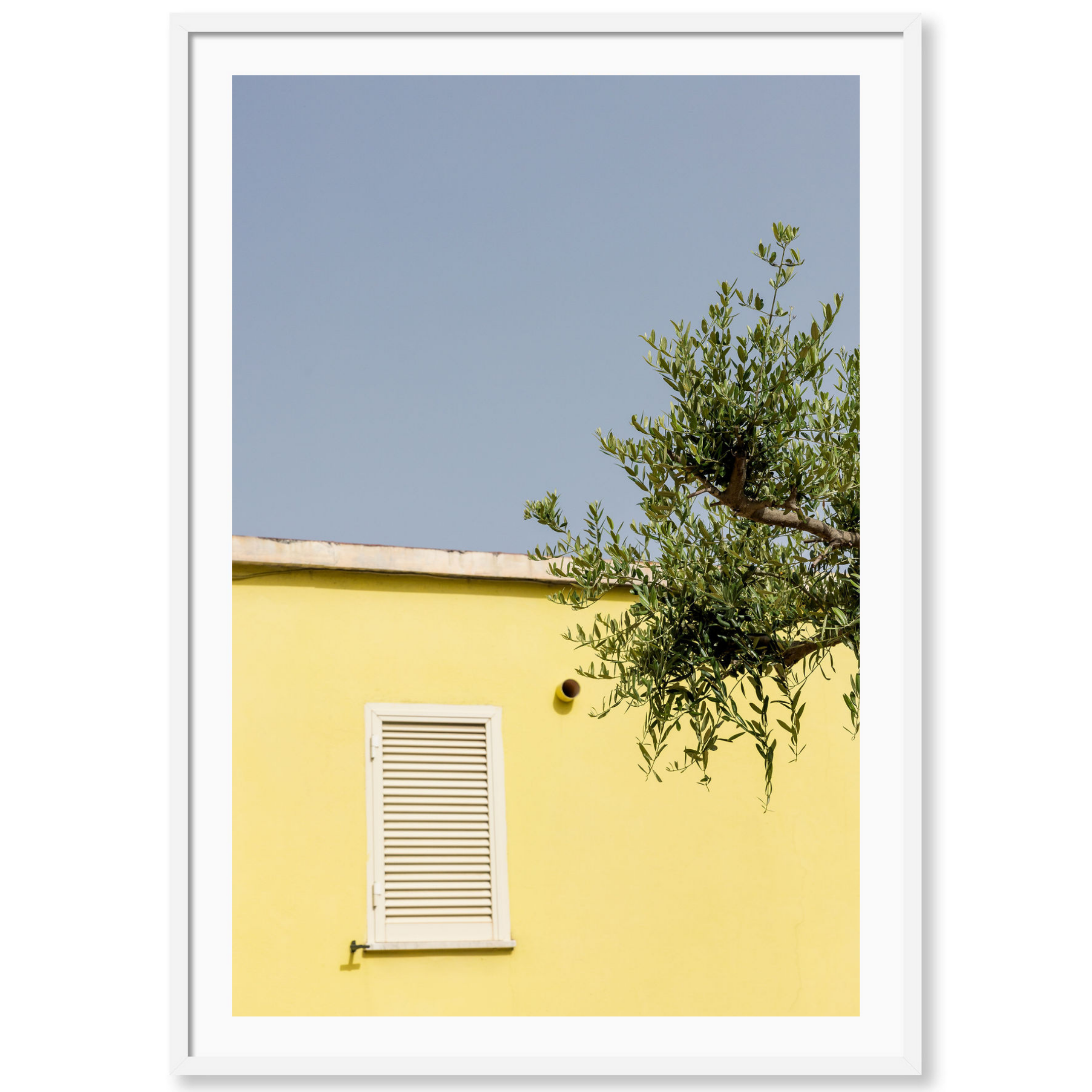 Mediterranean Lemon Drop