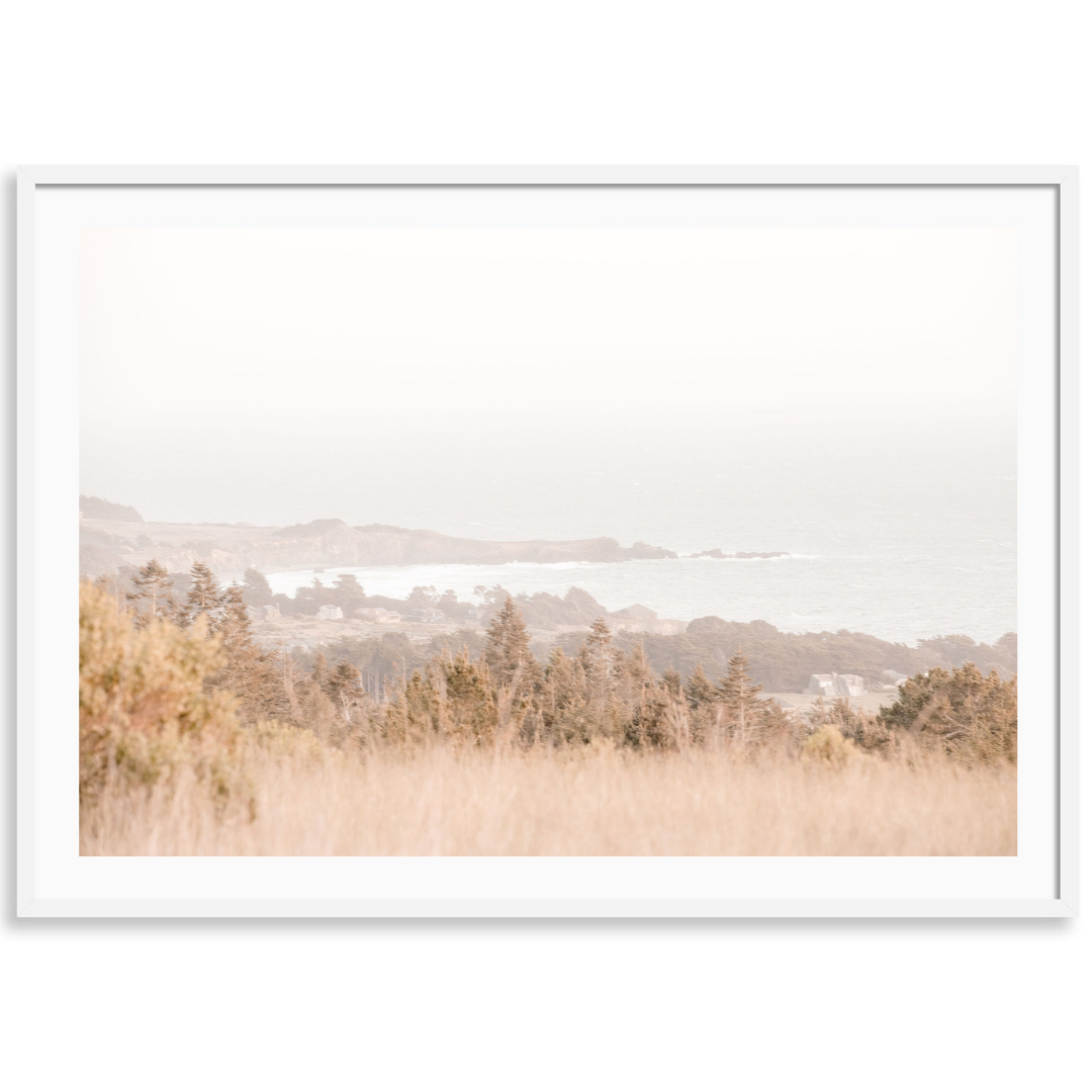Sea Ranch Coastline