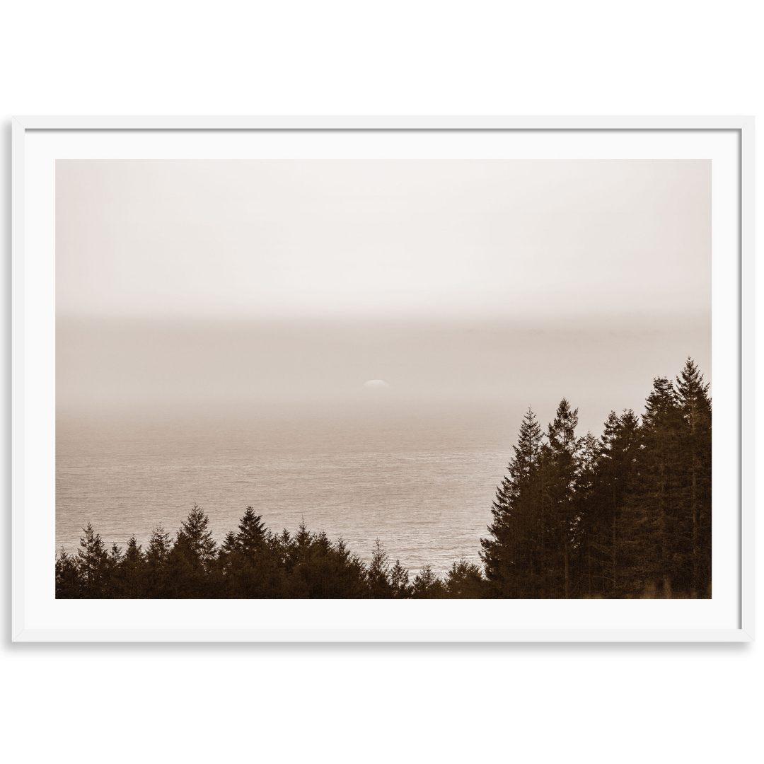 Sea Ranch Lookout