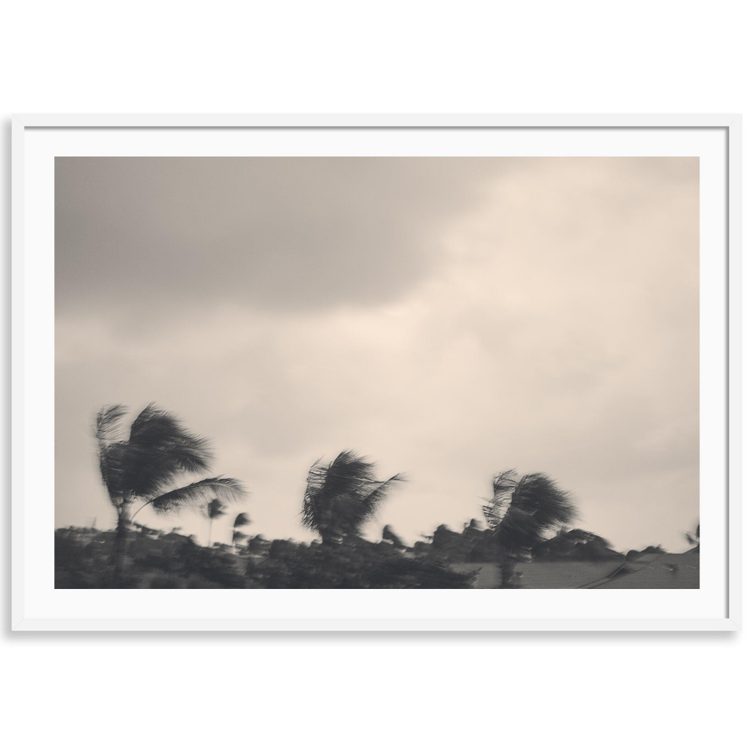 Quiet Storm