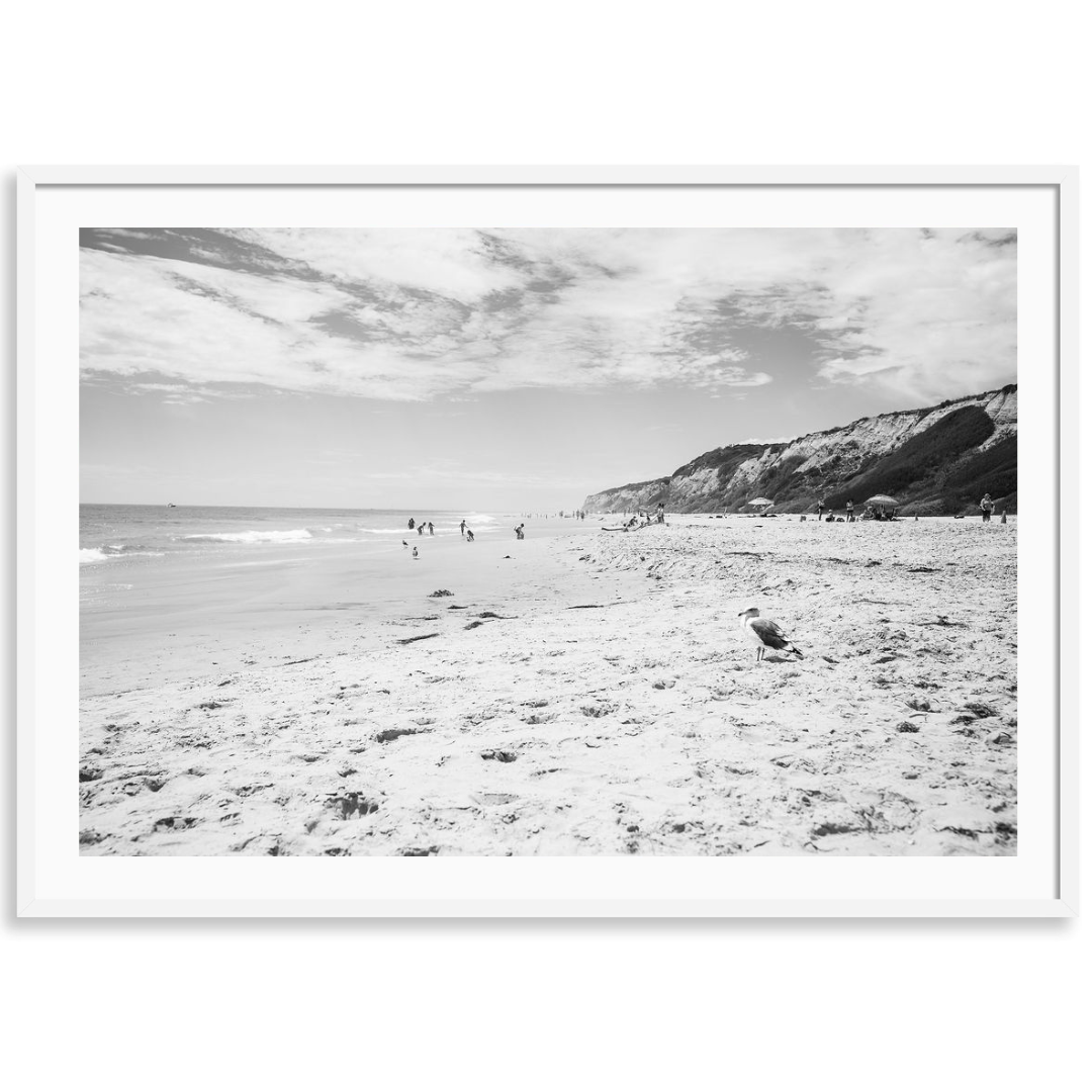 Crystal Cove Newport