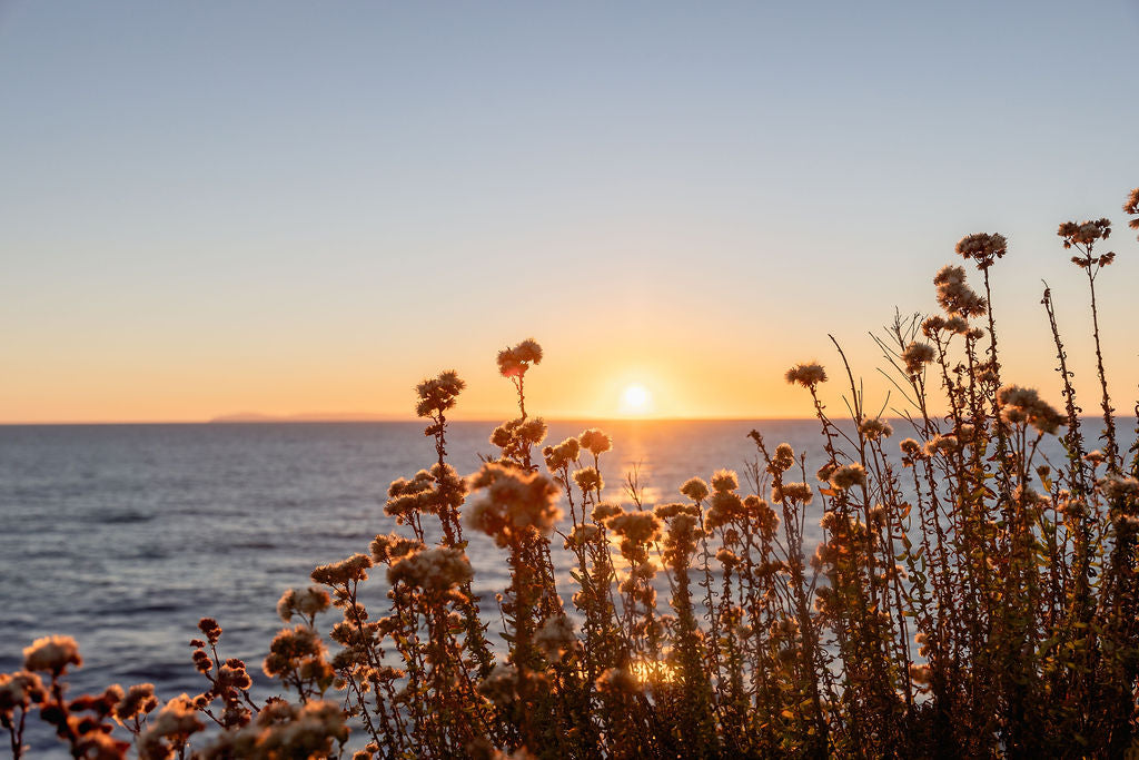 Amber Horizon | Framed Fine Art Print by Carly Tabak