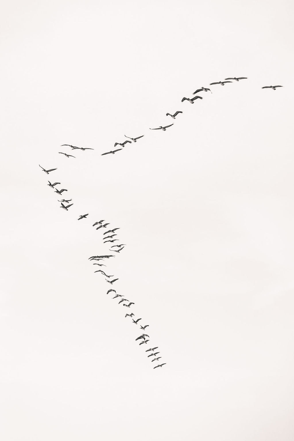 Print Image