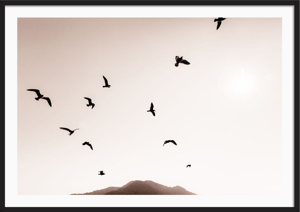 Freedom