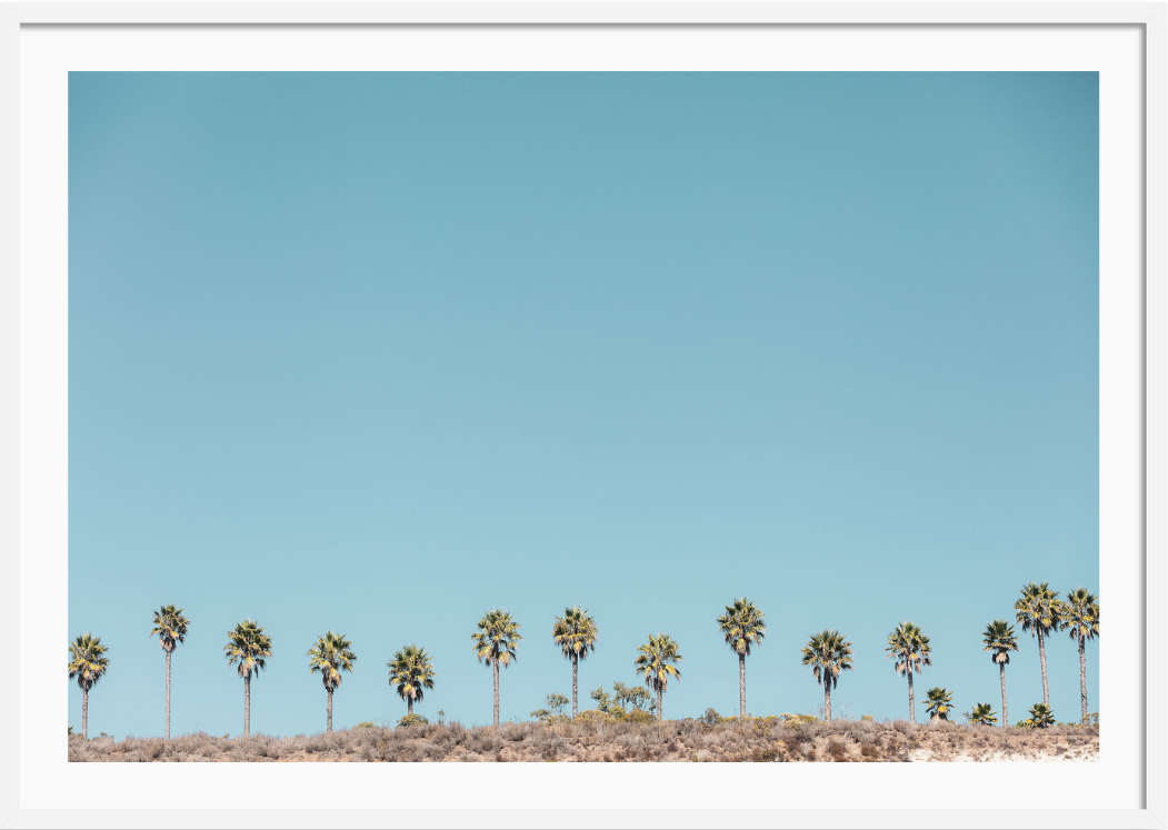 Santa Barbara Palms 3