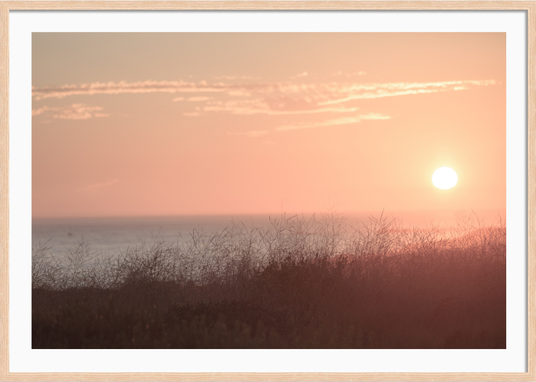 Newport Sunset