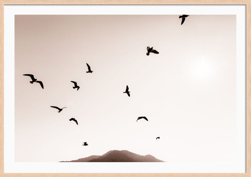 Freedom