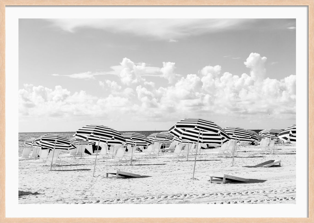 Miami Beach Black and White Umbrellas