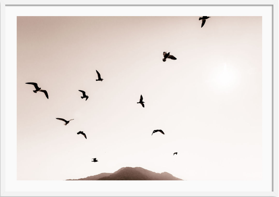 Freedom