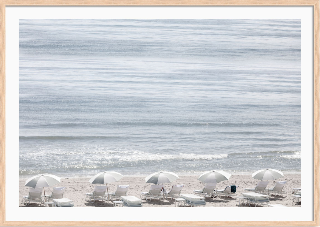 Palm Beach Umbrellas