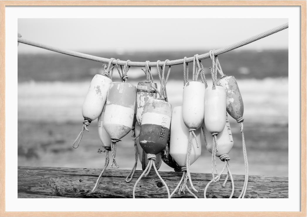 Black and White Buoys