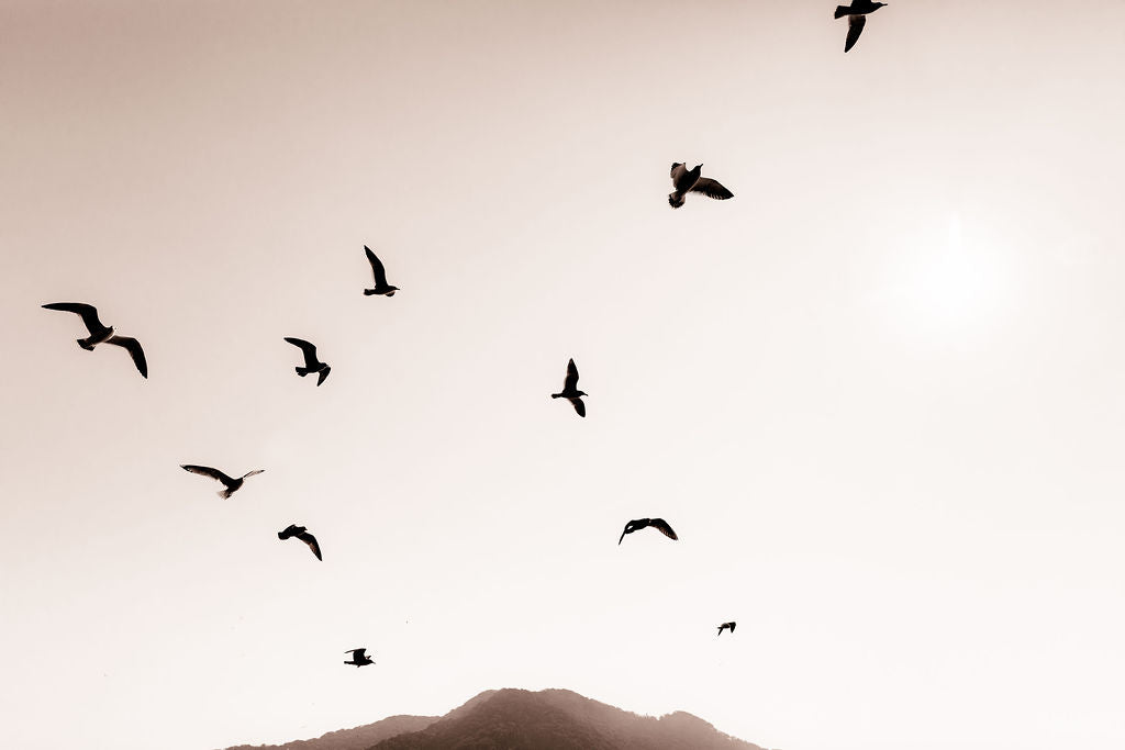 Print Image