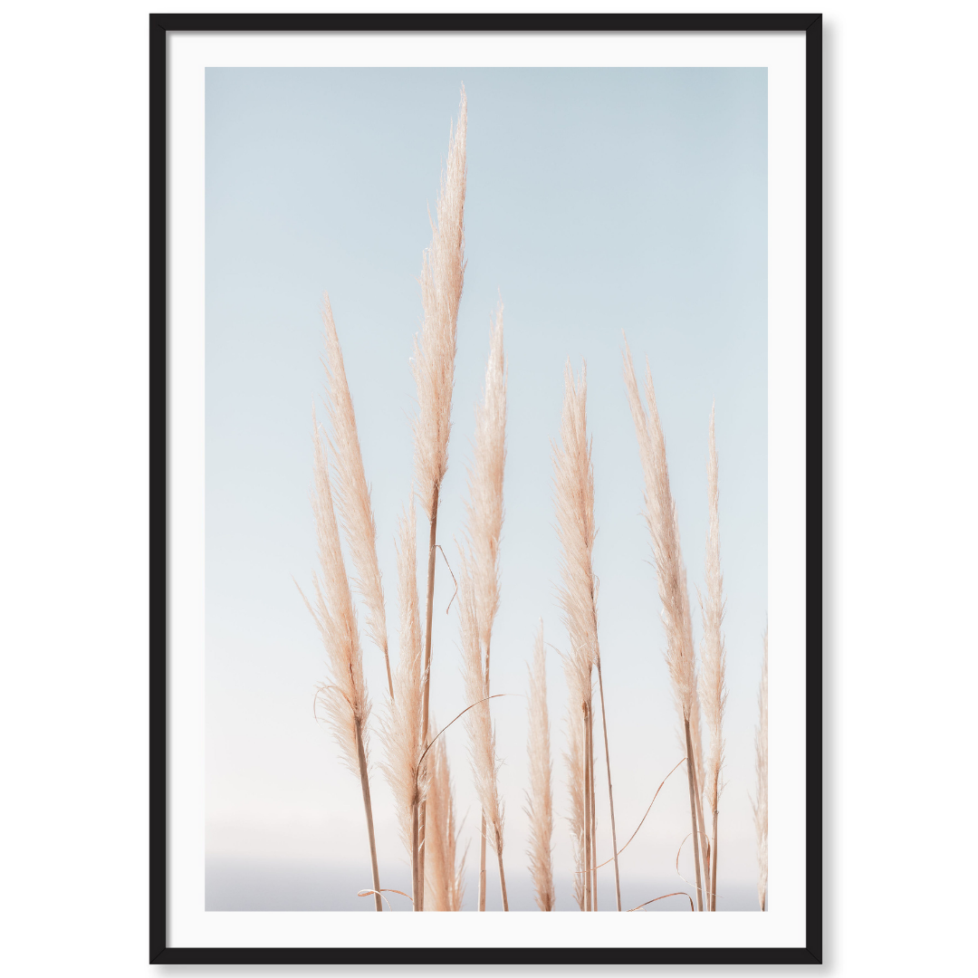 Coastal Pampas Vertical