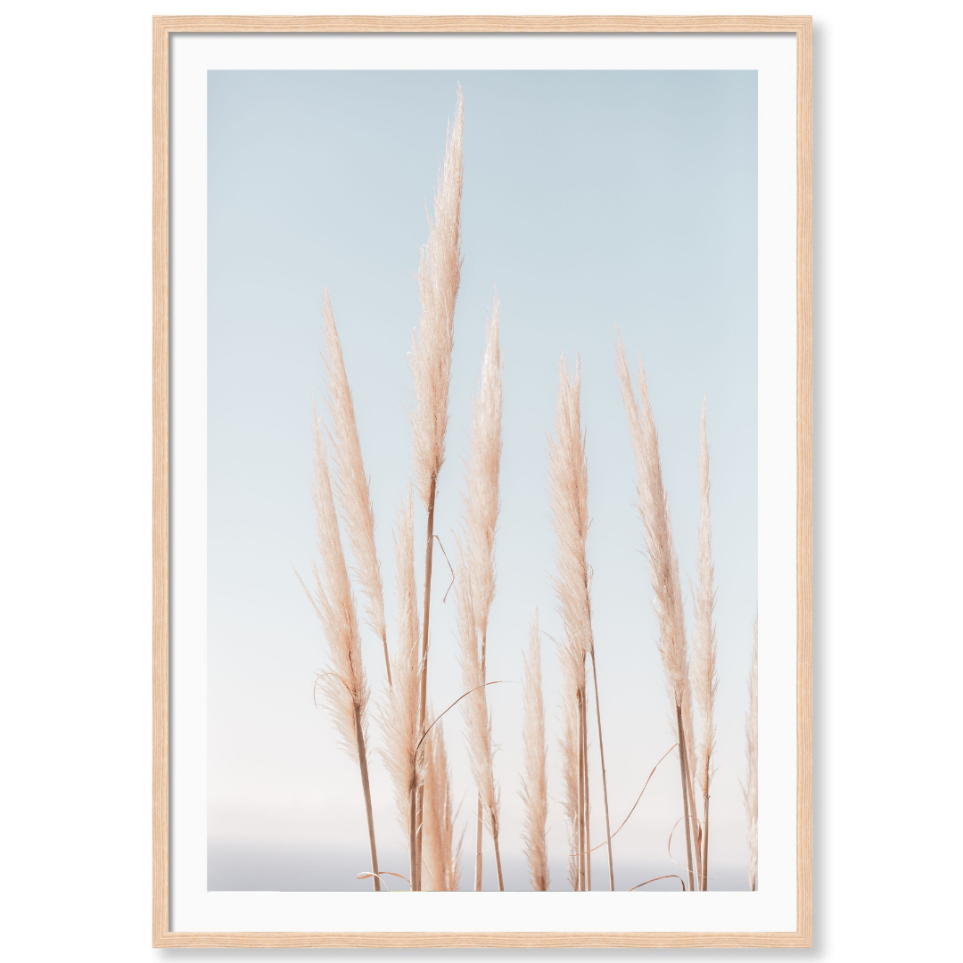 Coastal Pampas Vertical