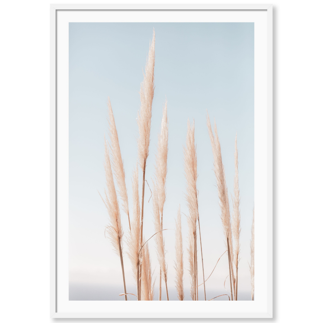 Coastal Pampas Vertical