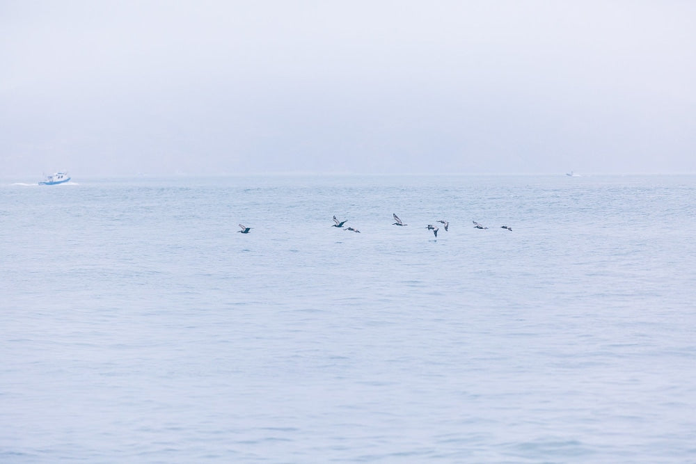 Print Image