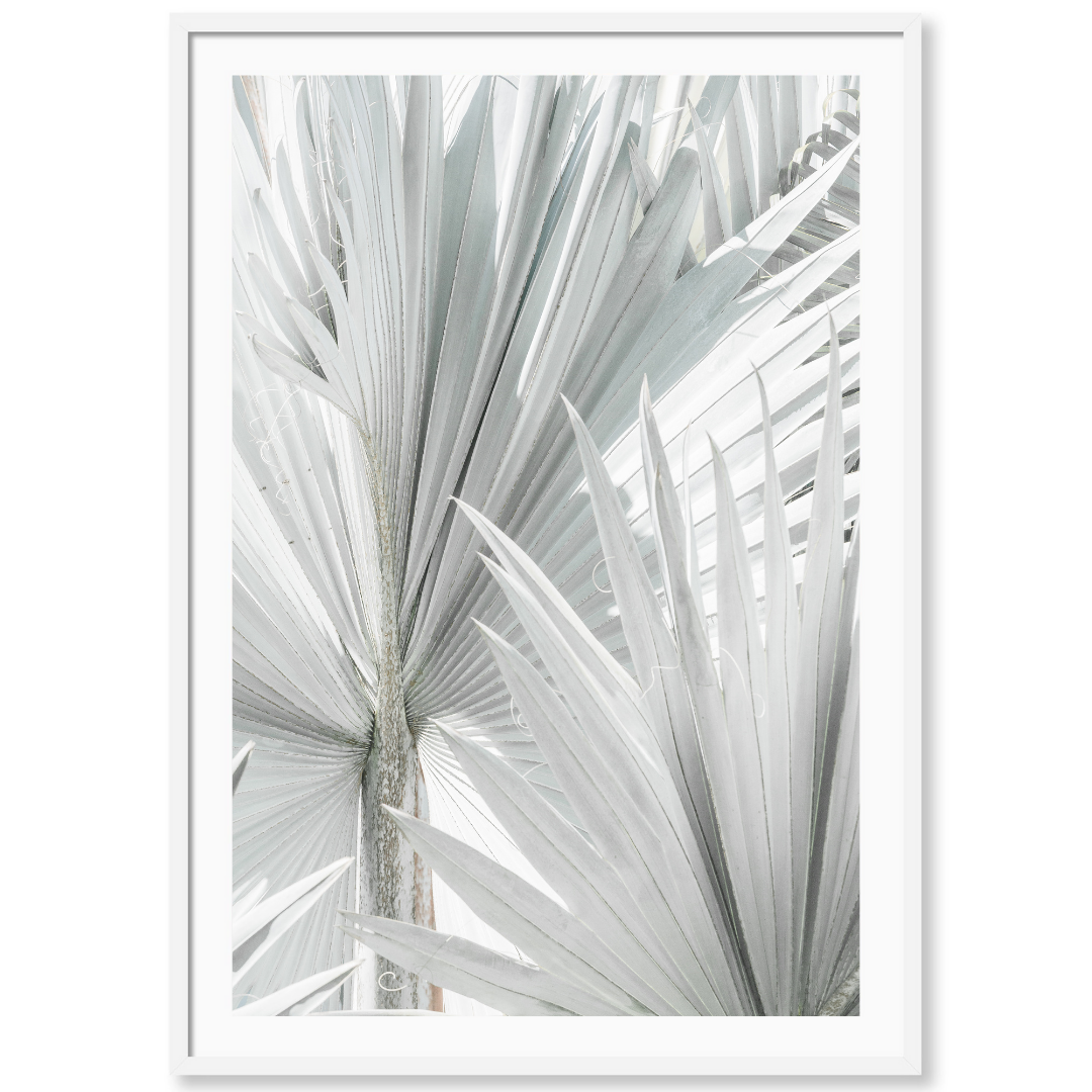 Mint Palm 1