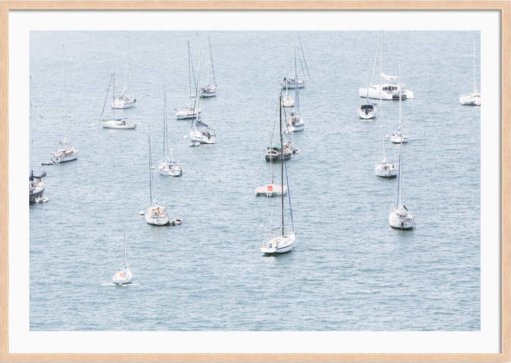 Sails on Sails