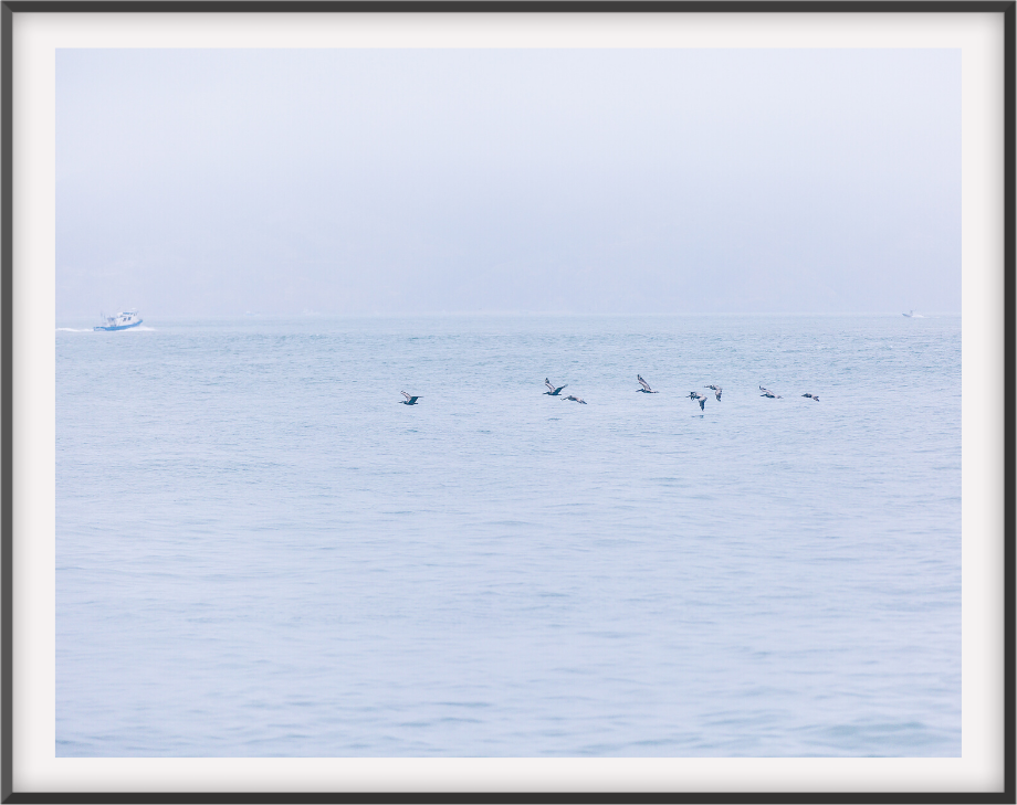 San Francisco Bay 16X24 / Black Mat Prints