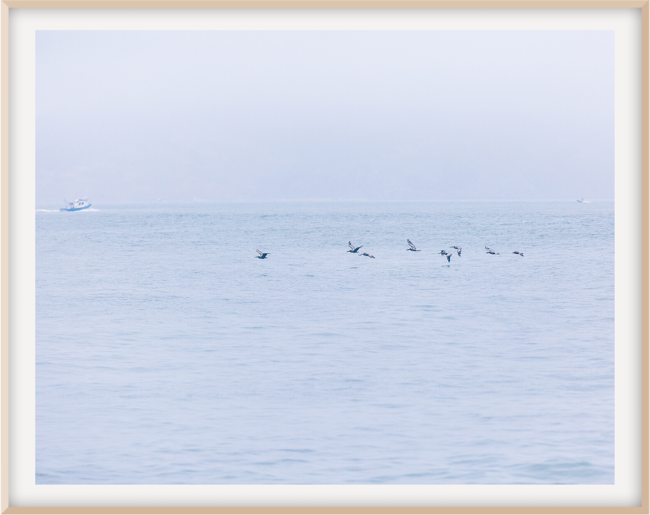 San Francisco Bay 16X24 / Natural Mat Prints