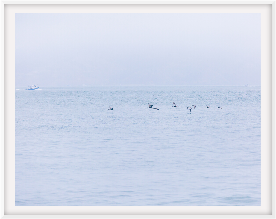 San Francisco Bay 16X24 / White Mat Prints