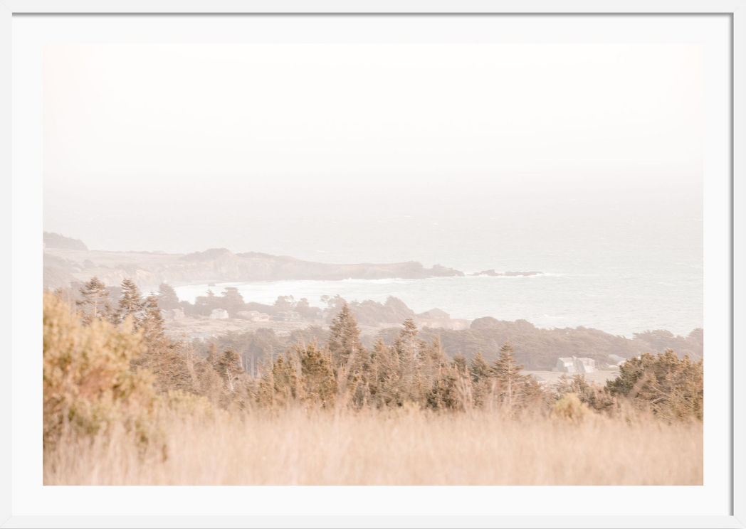 Sea Ranch Coastline